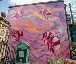 Pink Bees