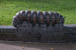 Caterpillar, Woodlouse and Wall Carvings