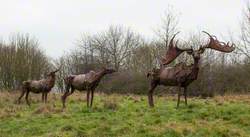 Irish Elk