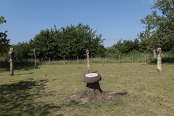 Bequest (Clothes Peg Bench)