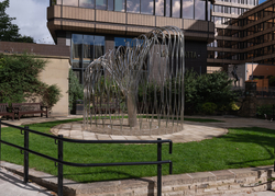 Sheffield COVID Memorial