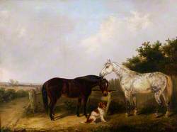 Study of Horses with a Dog