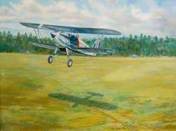 Slipstream on the Heath, Hawker Fury Number 1 Squadron