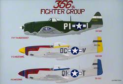 356th Fighter Group