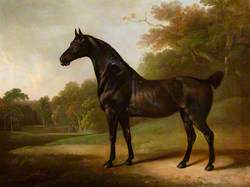 A Bay Horse in a Wooded Landscape