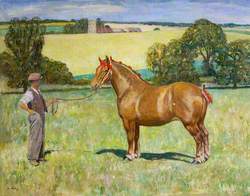 Joe Stearn with the Mare Rowhedge Myrtle, with Alpheton Church in the Background
