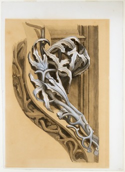 Study of Leaf Crocket, Choir Stalls, Amiens Cathedral, France