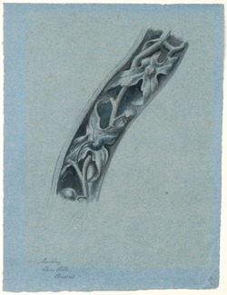 Study of Leaf and Fruit Moulding, Choir Stalls, Amiens Cathedral, France
