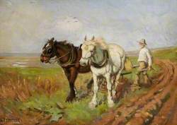 Ploughing Scene