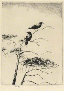 Two Crows