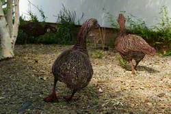 3 Greylag Geese