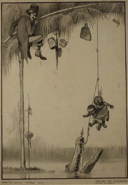 Angling for Alligators