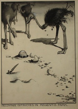 Decoying Ostriches in Regent's Park
