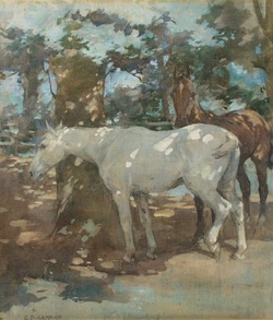 Horses