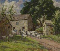 Sheepshearing in the Dales