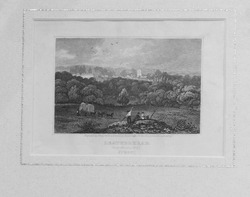 Leatherhead from Hawkes Hill