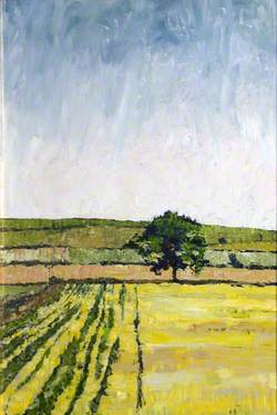 The Yellow Field, Tinwald