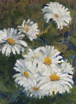 Marguerites