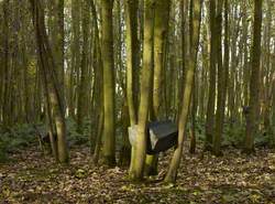 Stone Coppice