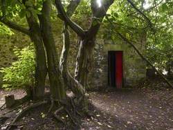 Coppice Room