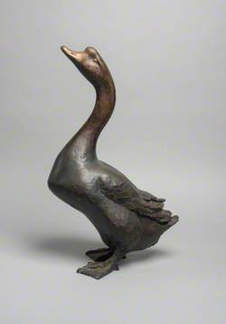Chinese Gander