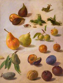 Study of Fruit and Nuts
