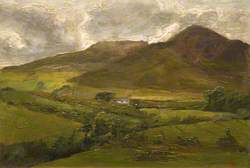 Moorland Landscape