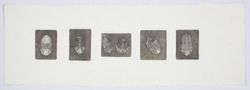 Fossil prints