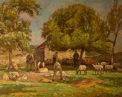 Sheep Shearing, Caldicot