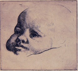 Baby's Head