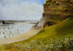 Coastal Scene