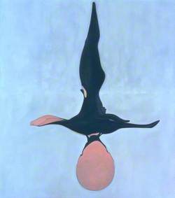 Swimmer