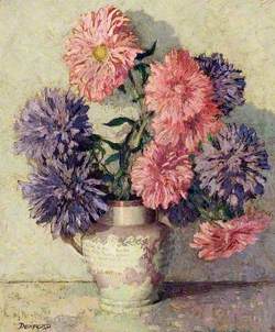 Asters