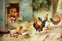 Farmyard Scene