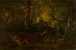 View in Fontainebleau Forest, Evening