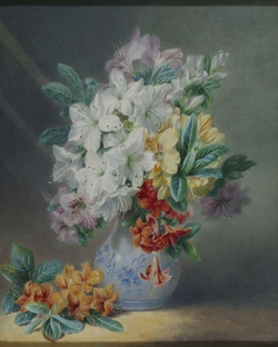 Azaleas
