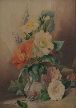 Camellias