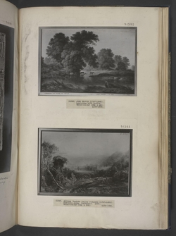 Landscape with cattle