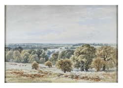Park scene with deer and river