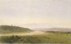 South Downs