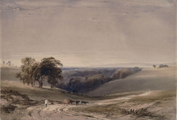 Ecclesbourne Glen
