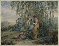 A Hop Garden