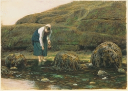 The Winkle Gatherer