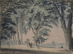 Trees by the Thames, opposite Hammersmith