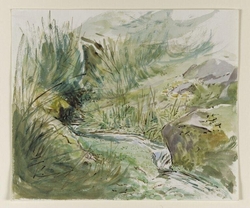 Mountain stream with vegetation and rocks