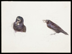 Crow with cheese in its beak
