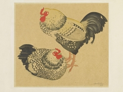 Two chickens