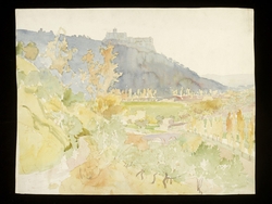 Landscape study
