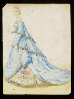 Fancy dress costume design