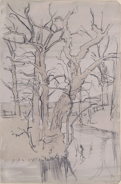 Sketch of trees by a river